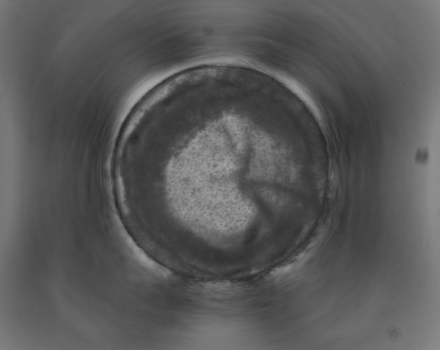 X0000092000959200709271506