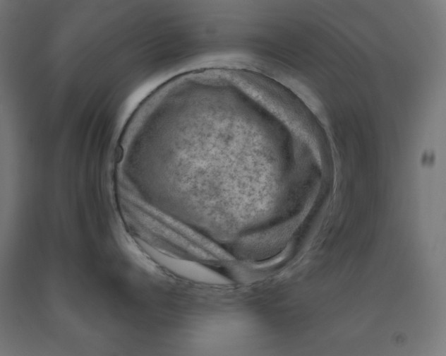 X0000092000960200709271506