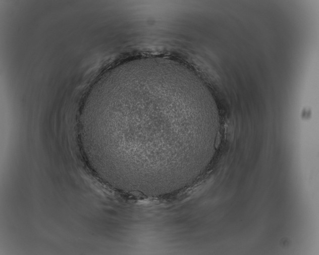 X0000092000961200709271505