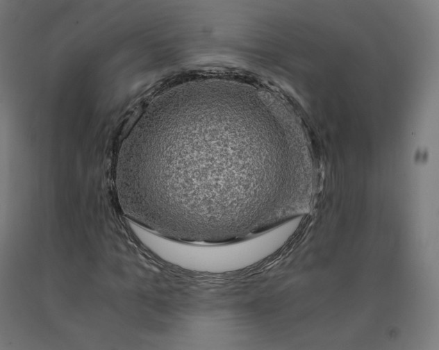 X0000092000965200709271505