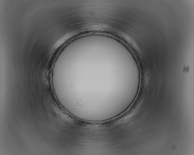 X0000092000970200709271505