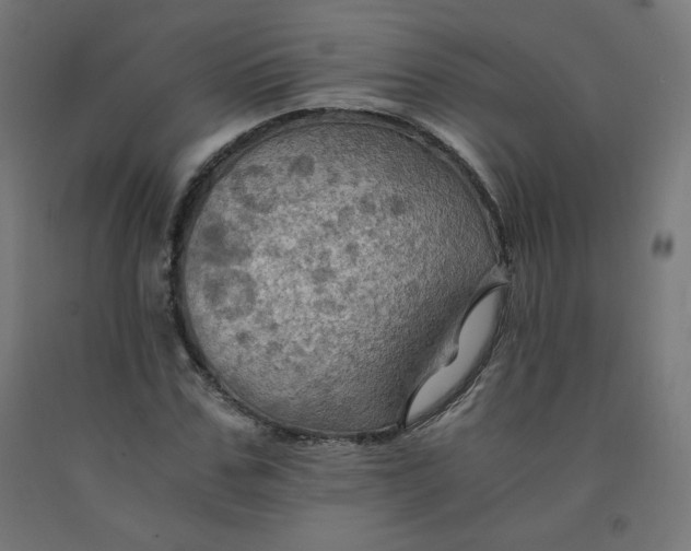 X0000092000971200709271505