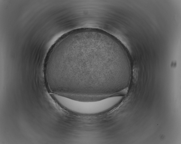 X0000092000972200709271505