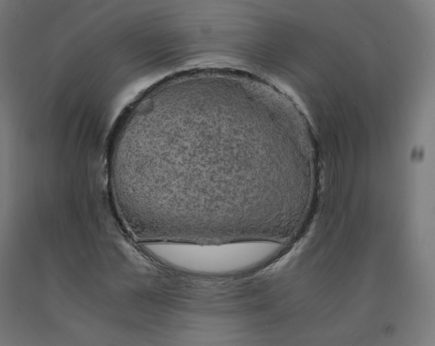 X0000092000973200709271504