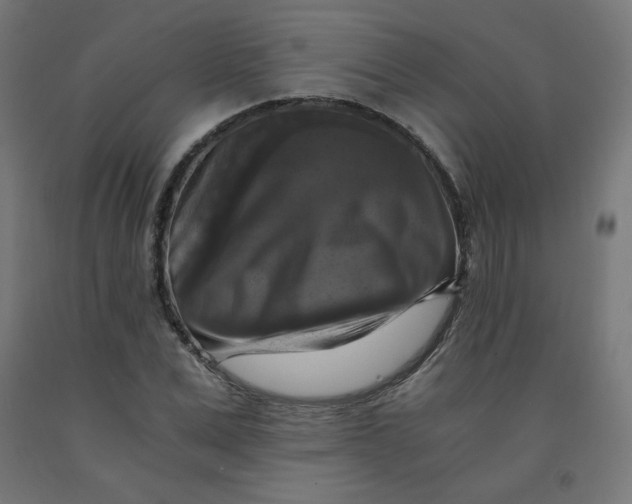 X0000092000975200709271504