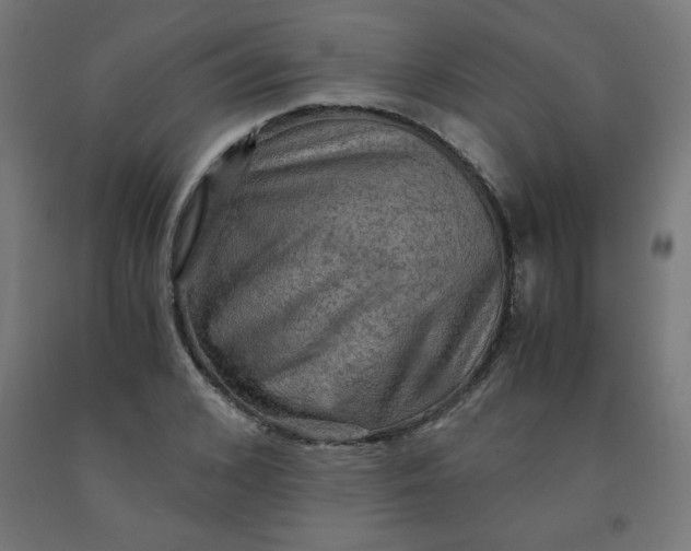 X0000092000976200709271504