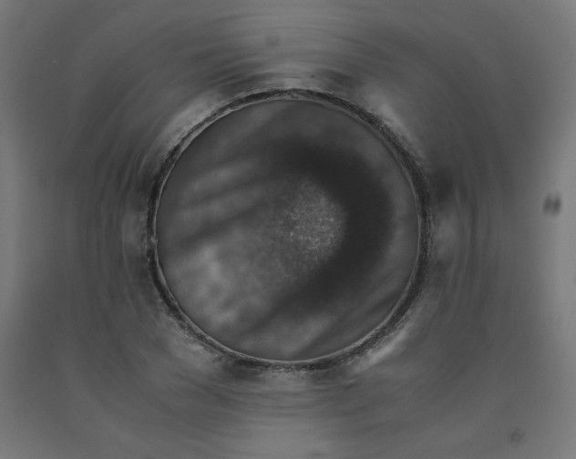 X0000092000977200709271504