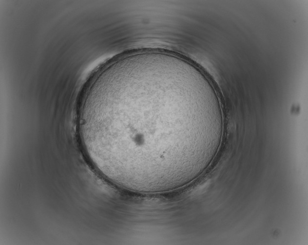 X0000092000979200709271504