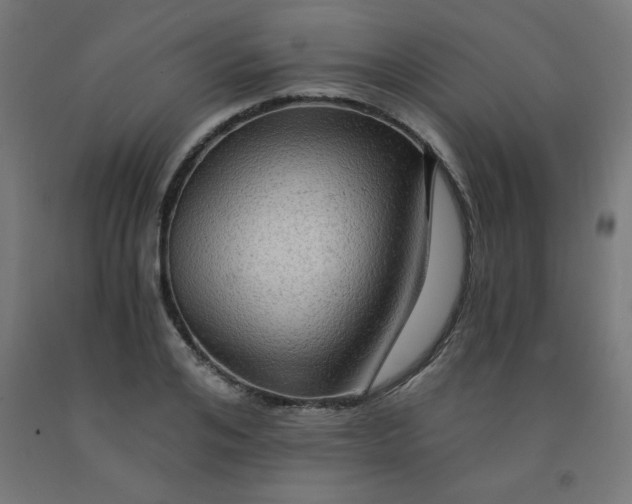 X0000092000984200709271504