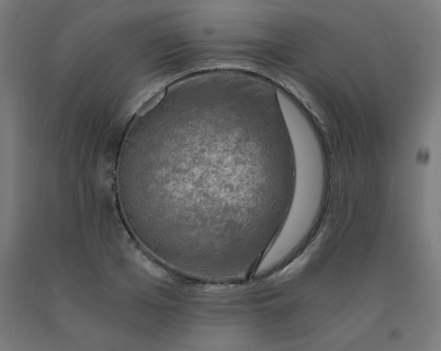 X0000092000985200709271504