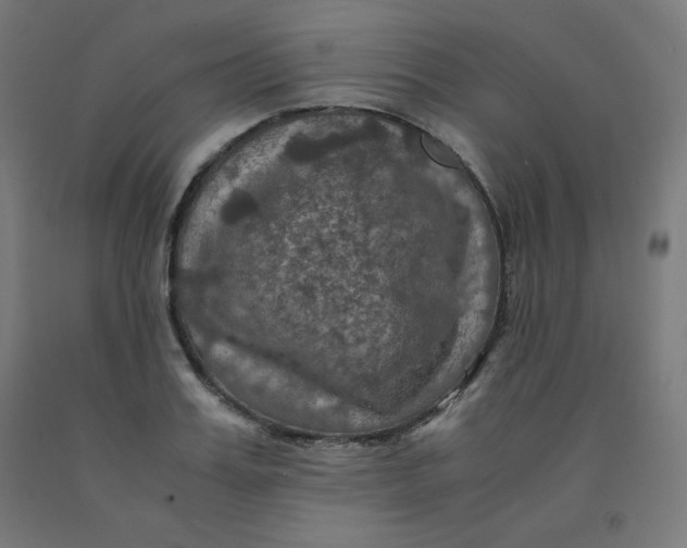 X0000092000987200709271504