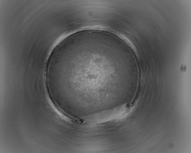 X0000092000989200709271504