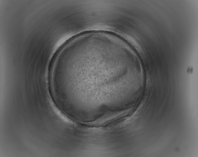 X0000092000990200709271504