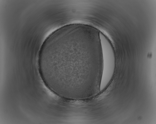 X0000092000991200709271504