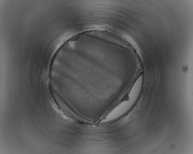 X0000092000994200709271504