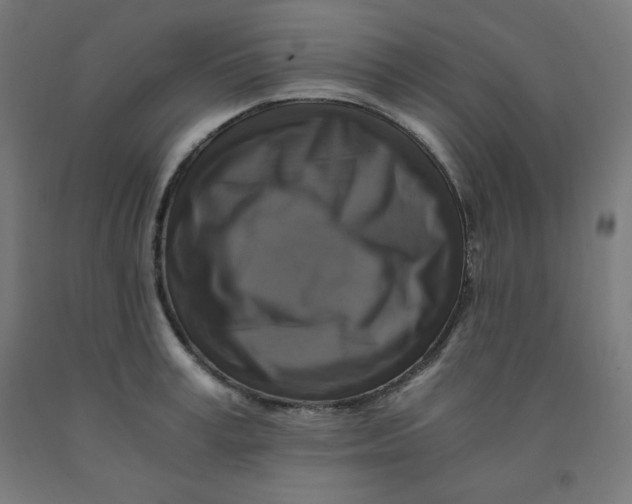 X0000092000995200709271504