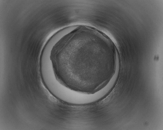 X0000092000996200709271504