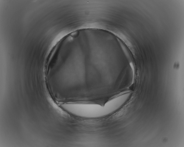 X0000092000998200709271504