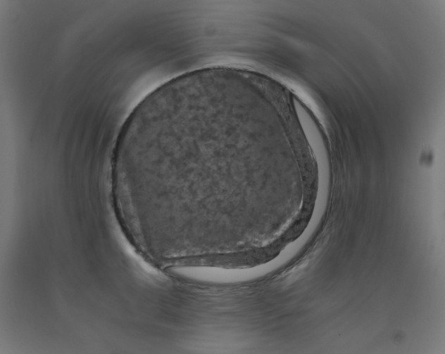 X0000092000999200709271504