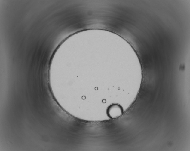 X0000092001000200709271504