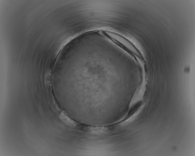 X0000092001001200709271504