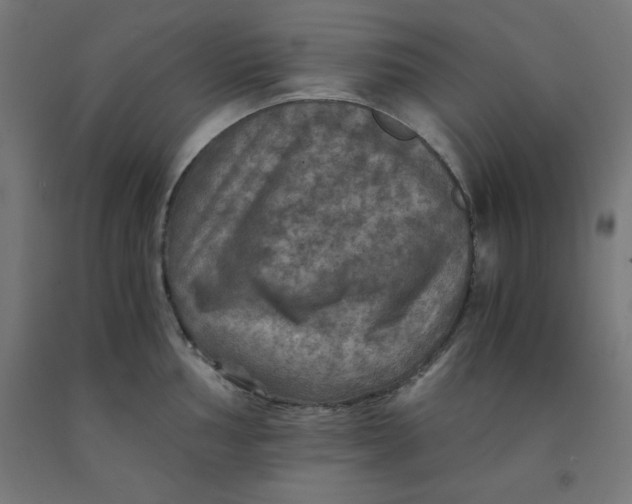 X0000092001002200709271504