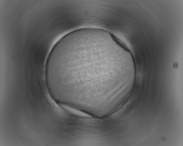 X0000092001004200709271504