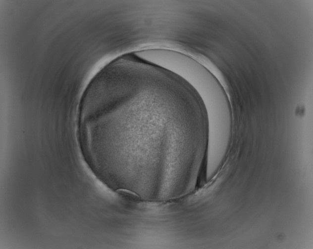 X0000092001005200709271504