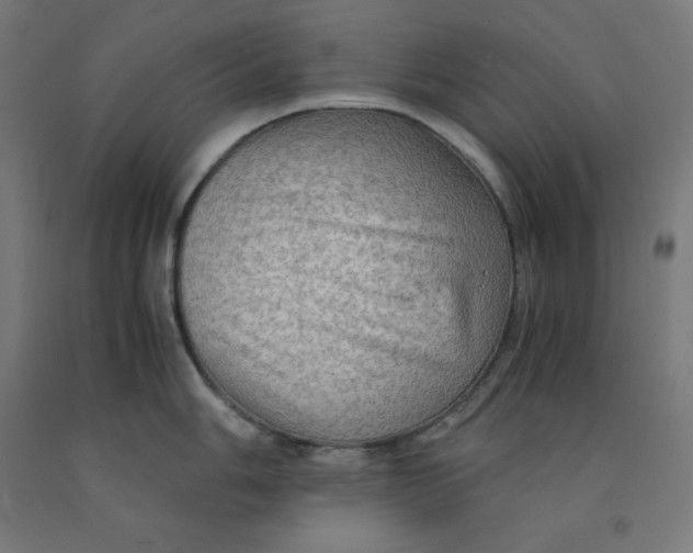 X0000092001006200709271504