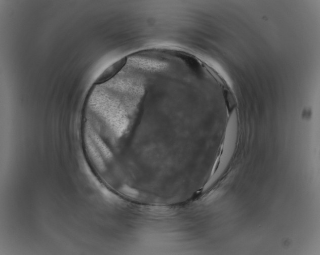 X0000092001007200709271504