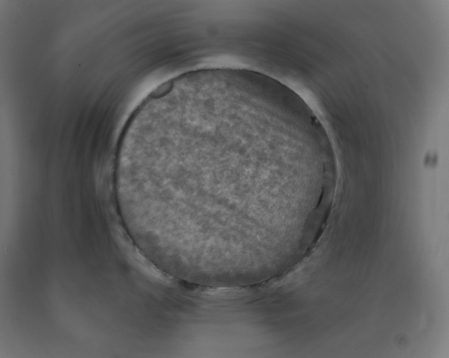 X0000092001008200709271504