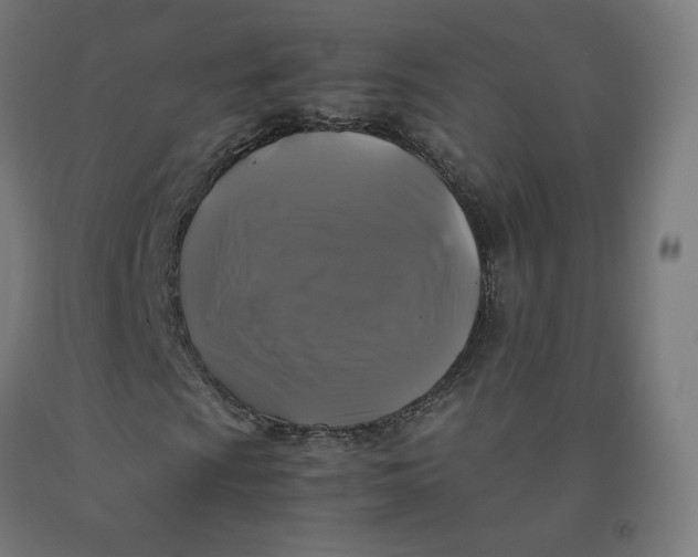 X0000092001009200709271503