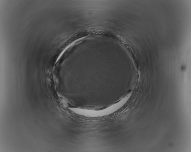 X0000092001010200709271503