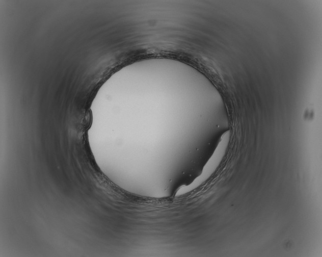 X0000092001012200709271503