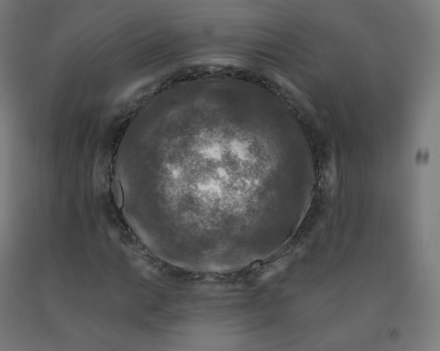 X0000092001014200709271504