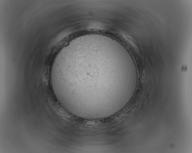 X0000092001015200709271504