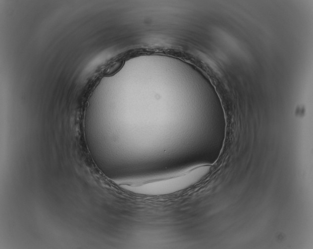 X0000092001016200709271504