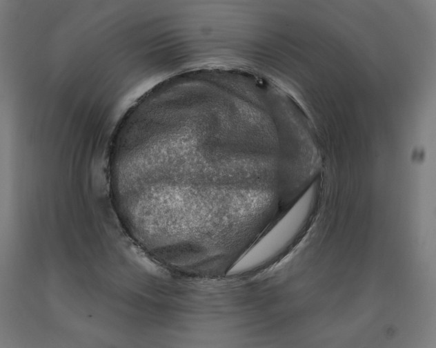 X0000092001018200709271504