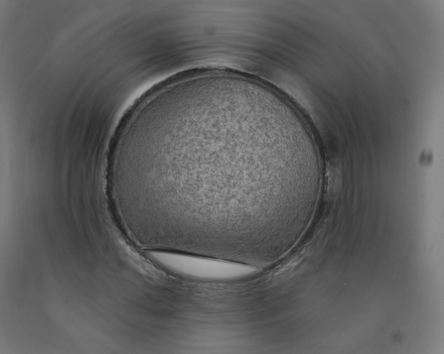 X0000092001020200709271504