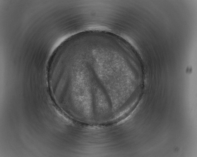 X0000092001022200709271504