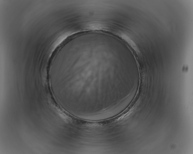 X0000092001023200709271504