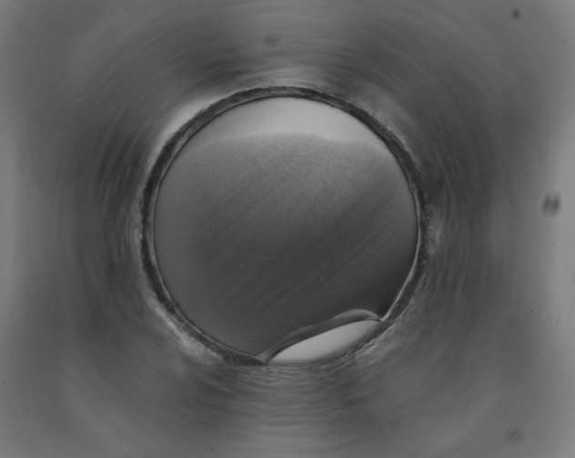 X0000092001024200709271504