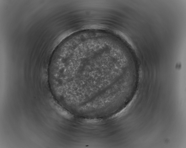 X0000092001025200709271504