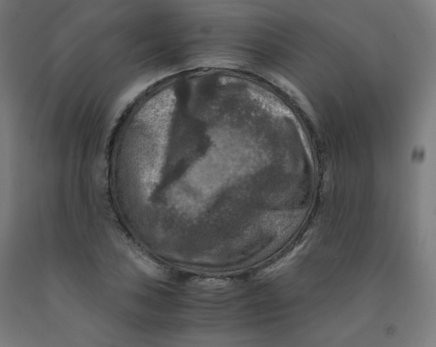 X0000092001027200709271504