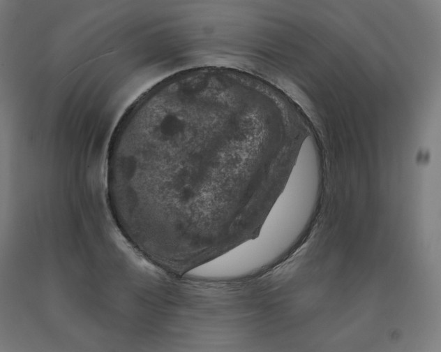 X0000092001028200709271504