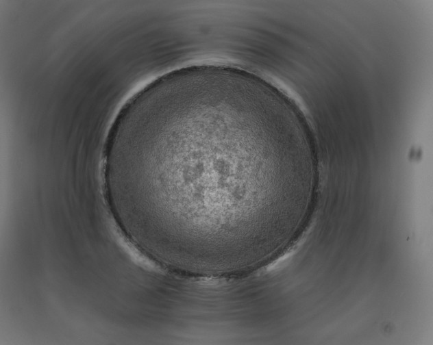 X0000092001029200709271504