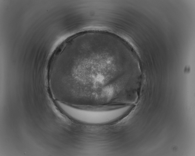 X0000092001030200709271504