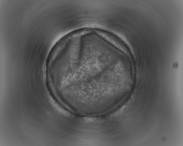 X0000092001032200709271504