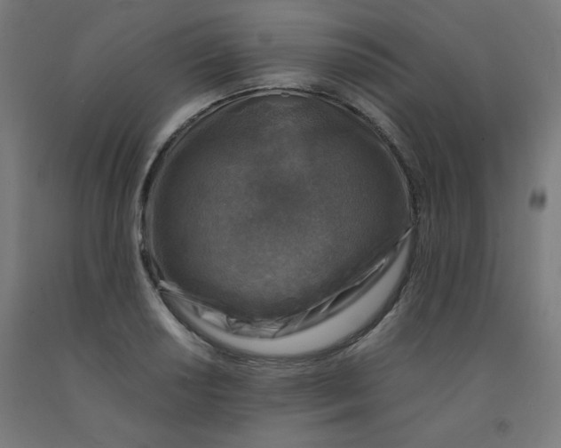 X0000092001034200709271504