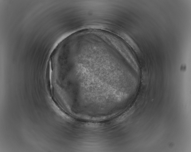 X0000092001036200709271504